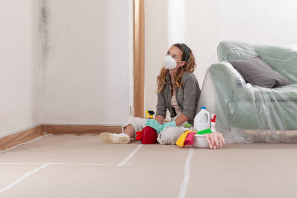 Reliable Basement Mold Remediation contractor in Quinlan, TX by 24 Hour Mold Removal